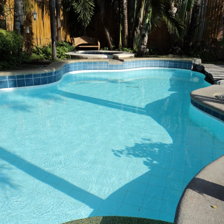 Pool Services & Construction in Spring, TX