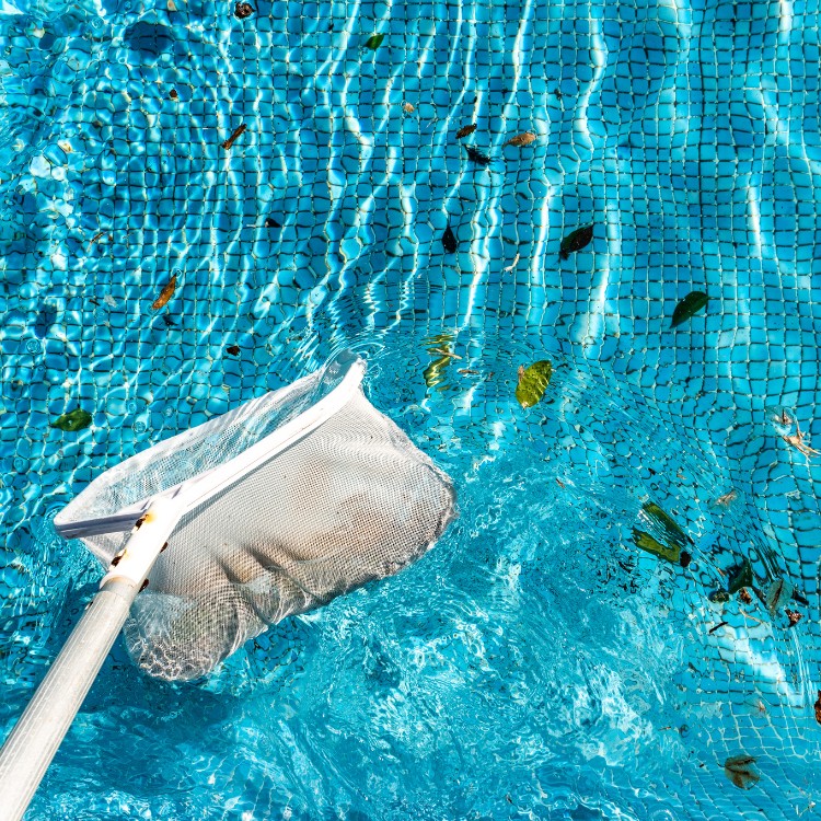 Pool Services & Construction in Spring, TX