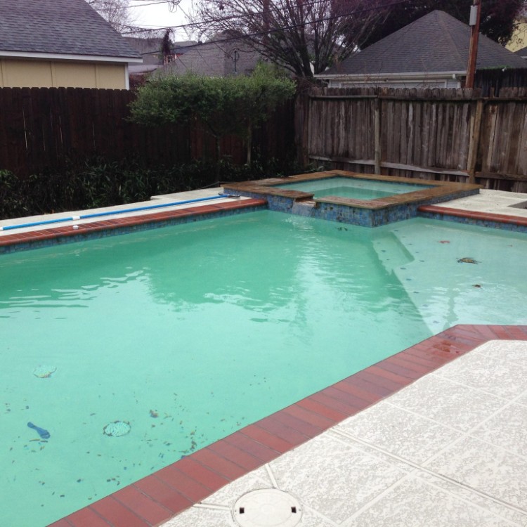 Pool Services & Construction in Spring, TX