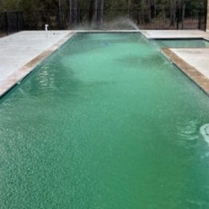 Pool Services & Construction in Spring, TX