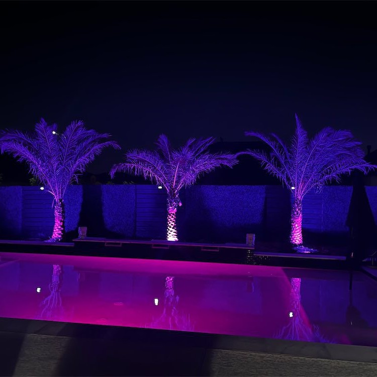 Pool Services & Construction in Spring, TX